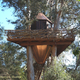 Illustration for article titled Bellavistas Biodigesting Treehouses Are Endor on Earth